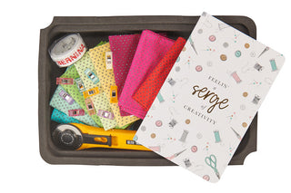 Bernina Accessory Case Black with Foam Inserts