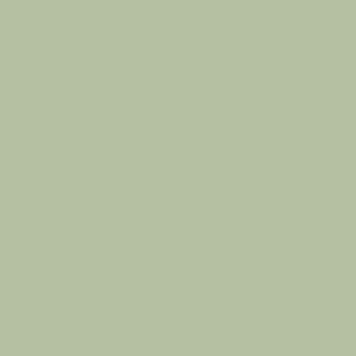 Tilda Solids Sage Green 120020 Per Mtr