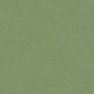 Moda Bella Solids Driftwood #429 Per Mtr