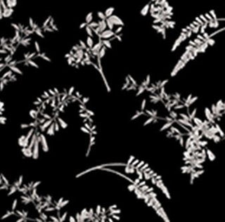 Flower Festival Black Per Mtr