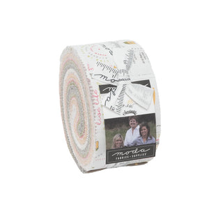 2.5" Jelly Roll Moda Renew by Sweetwater