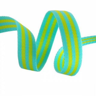 Tula Pink Webbing 2yd x 1" - Lime & Turquoise
