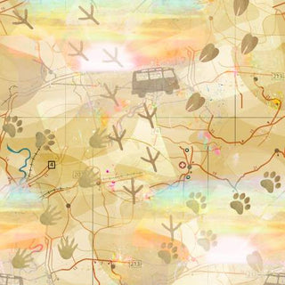 Road Trippin Exploration Map per mt