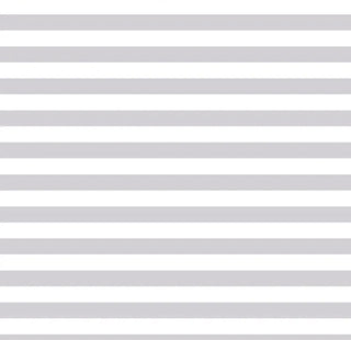 Devonstone Fundamentals 1/2 Stripe #DV2832 Silver Gum Per Mtr