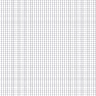 Bias Binding 25mm 1/8" Check Silvergum Per Metre