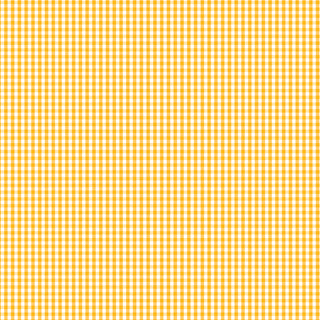 Bias Binding 25mm 1/8" Check Sunnyside Per Metre