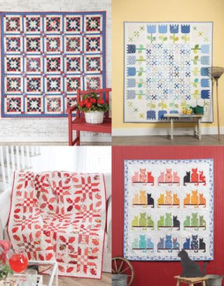 Scrap Quilting with Wendy Sheppard by Annies Attic Quilting
