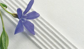 Husqvarna Viking 7 Groove Pintuck Foot (1-9)