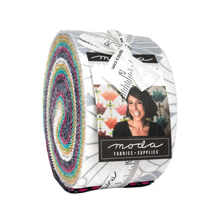 2.5" Jelly Roll Moda V & Co Color Crush